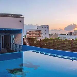 Casa Barco Boutique , Isla Mujeres Meksyk